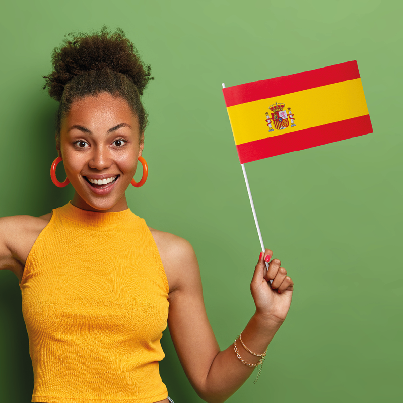 Landenvlaggetjes 11,5 x 24 cm Suriname