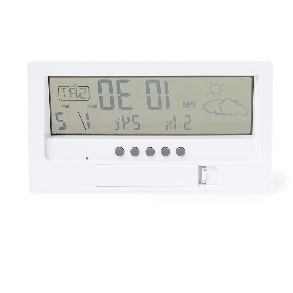 Weerstation Roamer