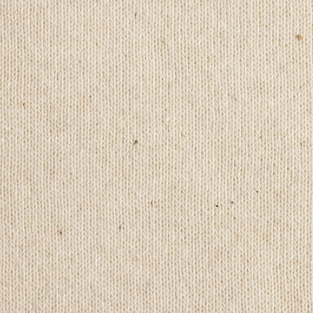 IQONIQ Manuel gerecycled katoen t-shirt ongeverfd