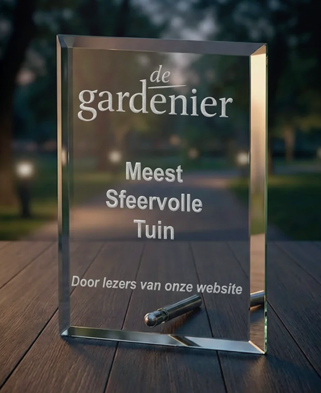 B-W301-303 awards van glas tot 20 cm hoog