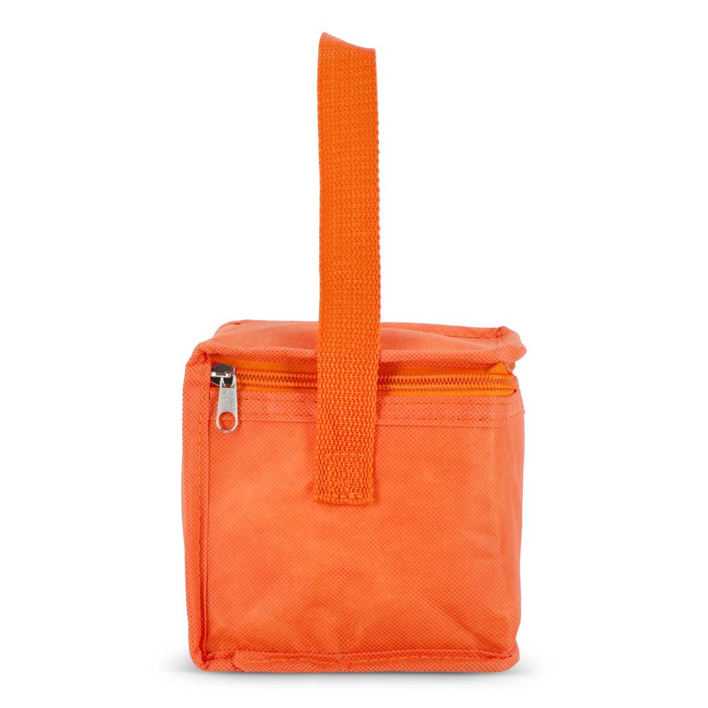 R-PET koeltas voor 6 blikjes, non-woven, 20 x 13 x 12,5 cm, 75 g/m²