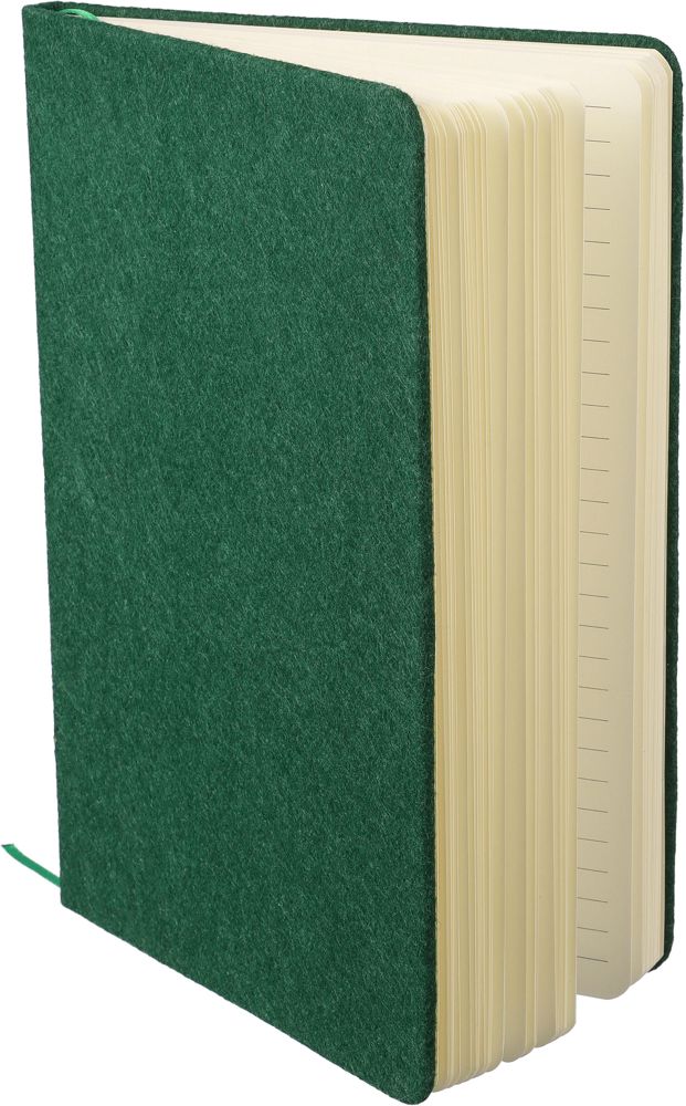 Gerecycled vilt notitieboek (A5) Dario