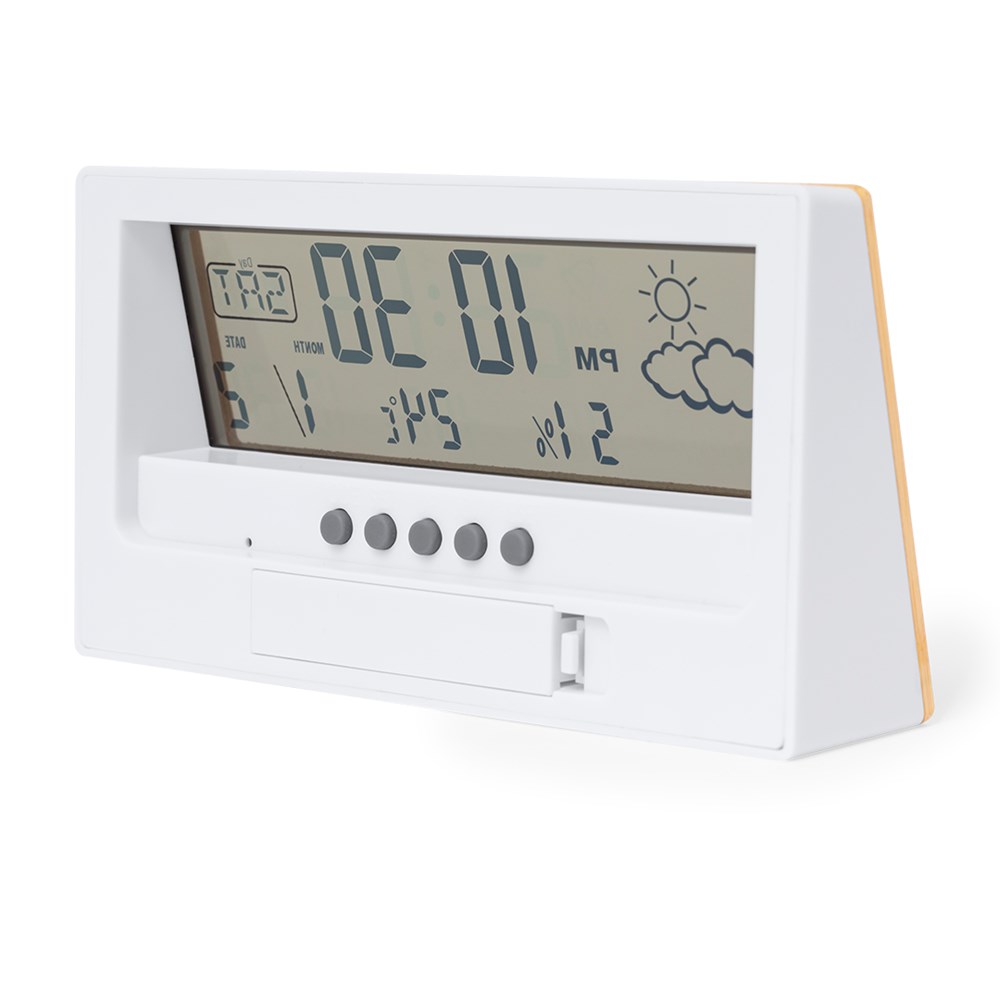 Weerstation Roamer