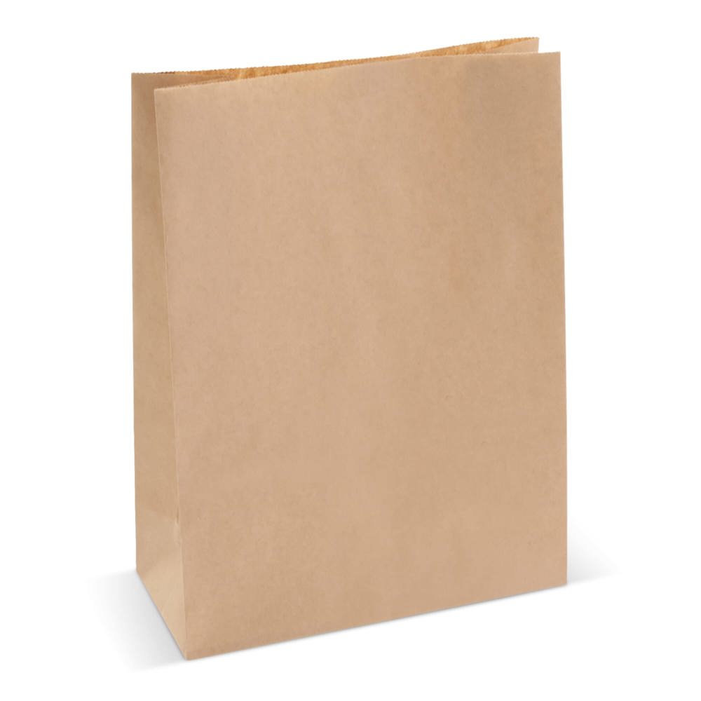 Papieren zak 70g/m² 29x22x9cm