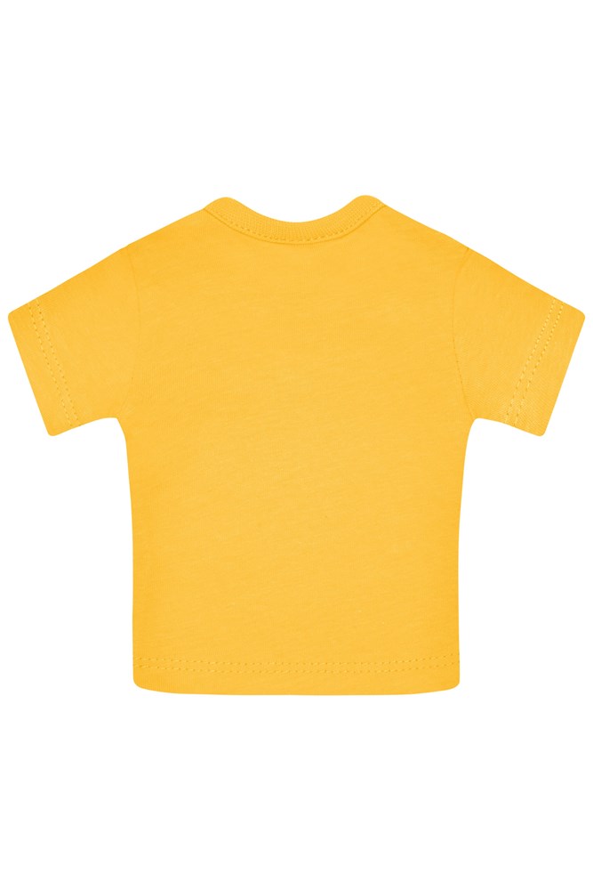 Mini-T