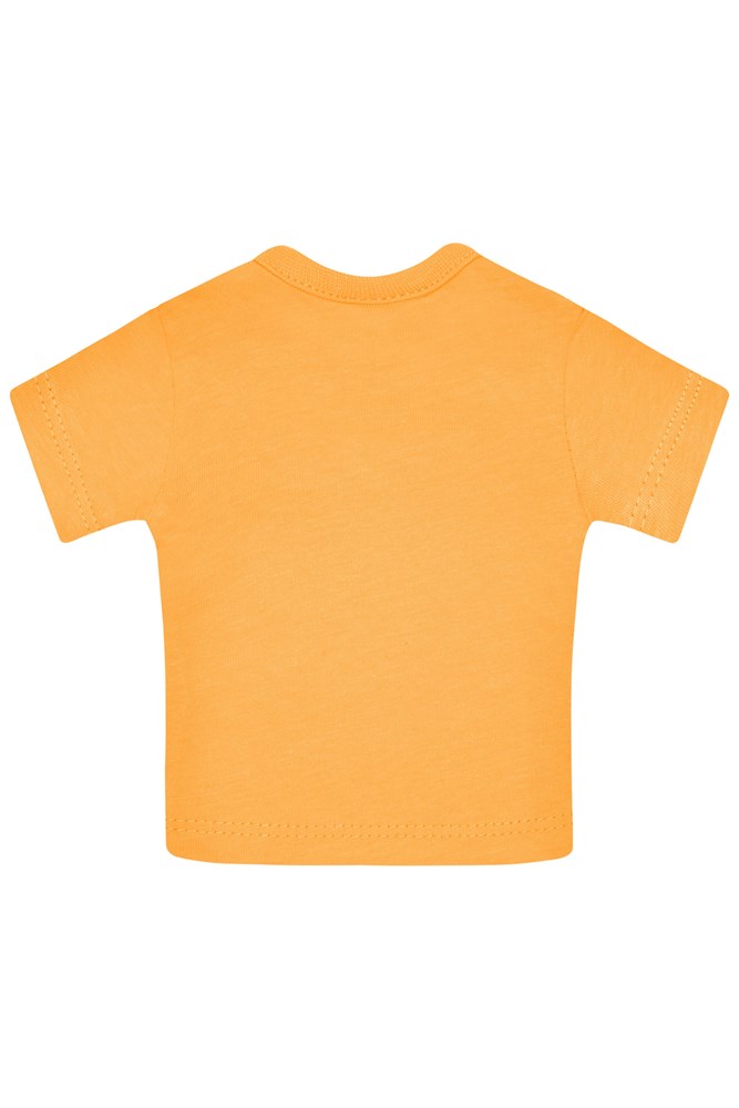 Mini-T