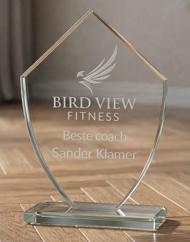 B-W441-443 awards van glas tot 20 cm hoog