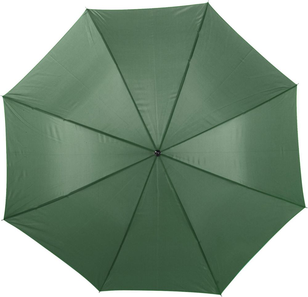 Polyester (190T) paraplu Andy - Groen