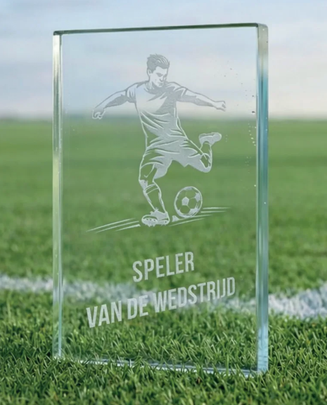 B-W161-165 awards van glas tot 23 cm hoog