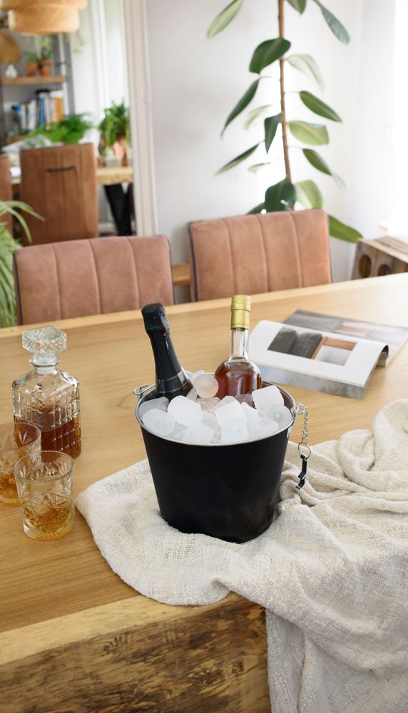 IJzeren en aluminium ijsemmer Corey