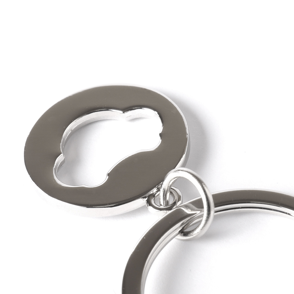 Munt-Sleutelhanger Coltax