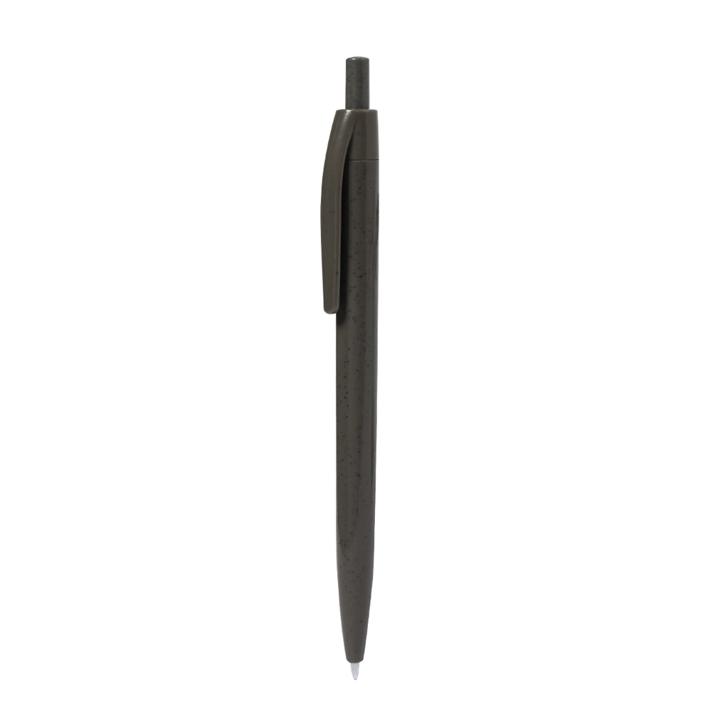 Pen Meryen