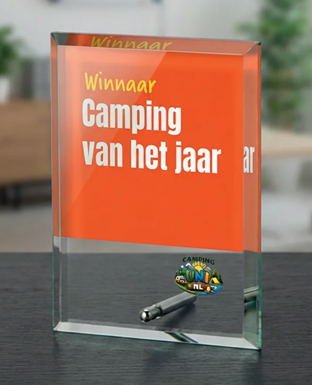 B-W301-303 awards van glas tot 20 cm hoog